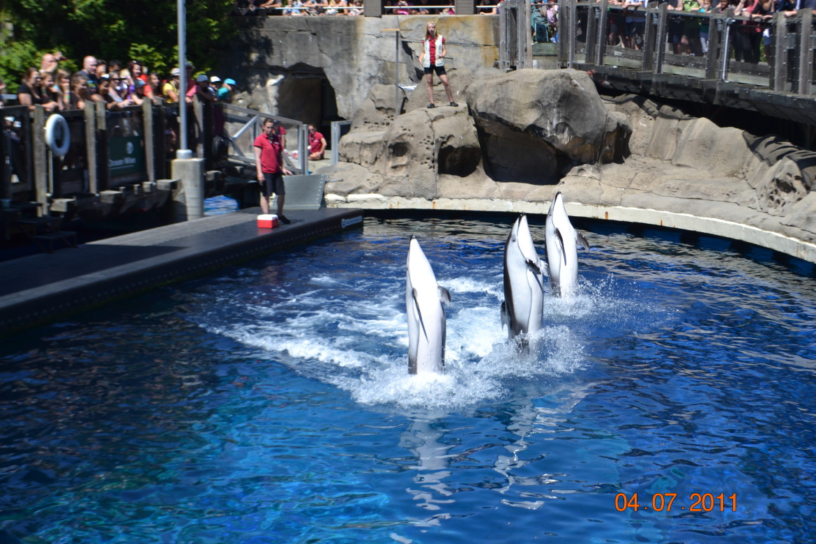 Spinnaker, Helen and Hanna.